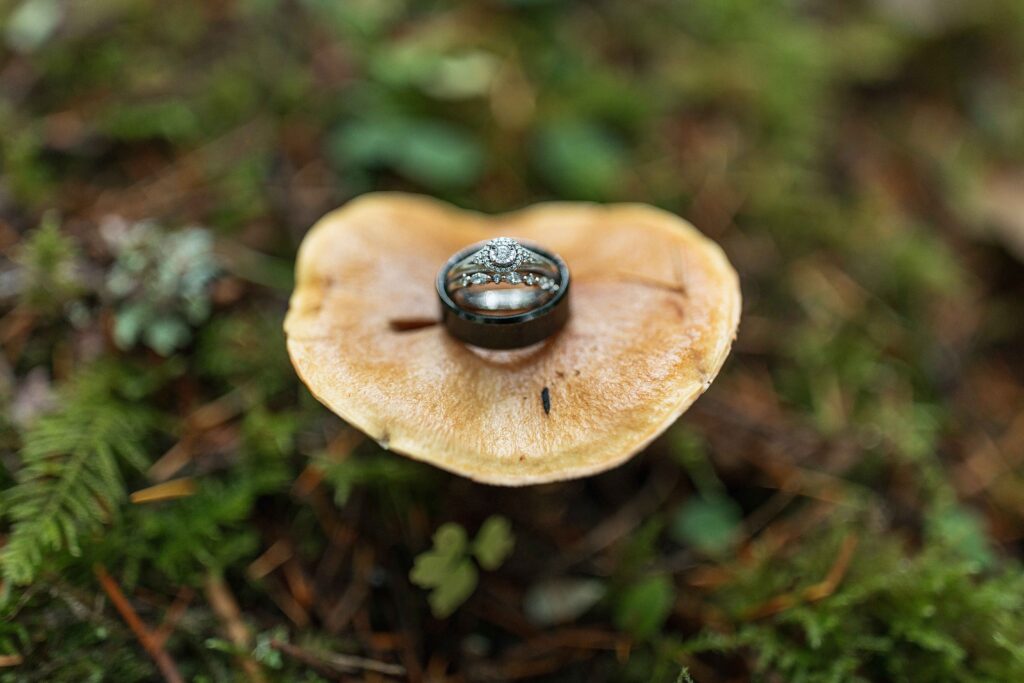 a bride and grooms ring sits ontop of a mushroom in the Hoh Rain Forest in the Olympic National Park