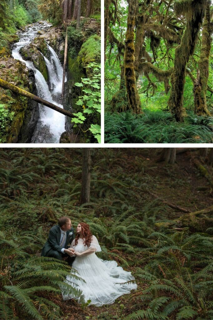 a elopement couple enjoy the beautiful green hoh rainforest in the olympic national park