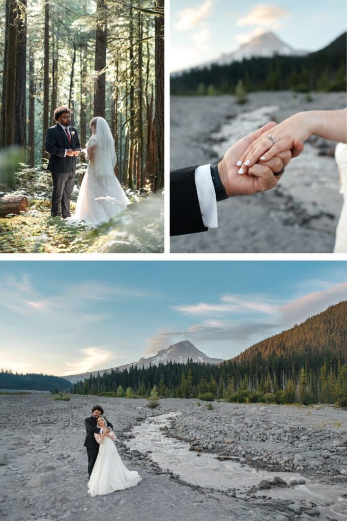 a bride and groom soak in the views of mount hood during their elopement day