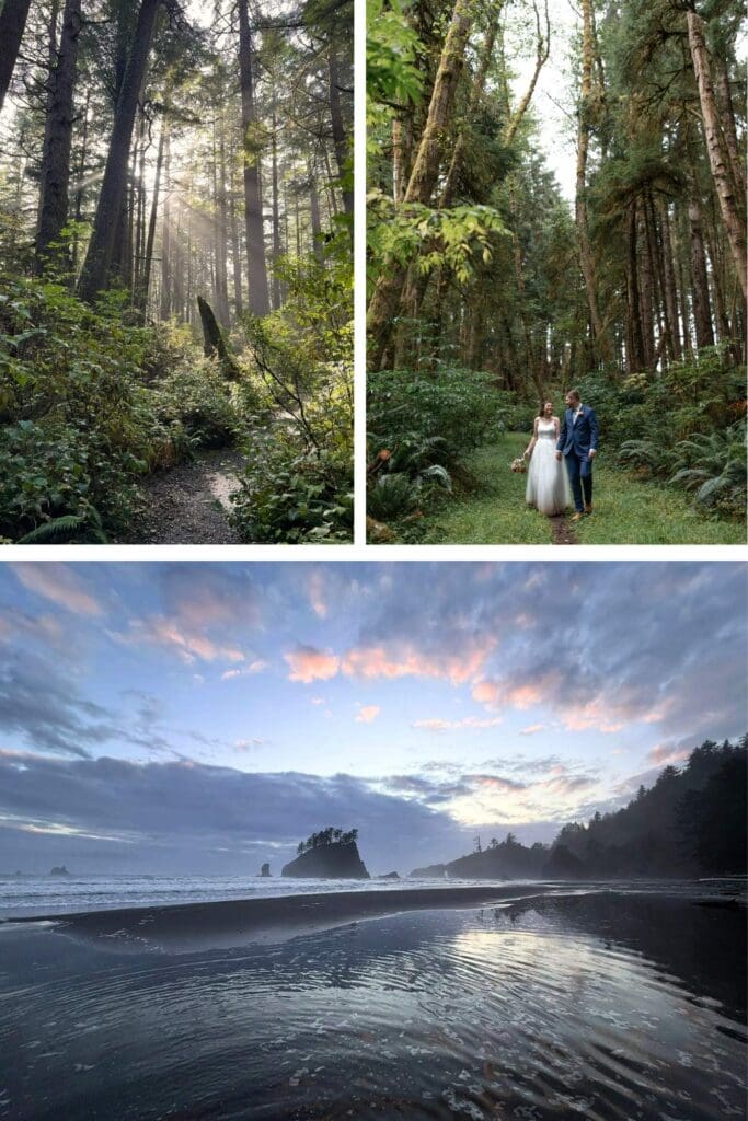 a bride and groom walk through a forested area to a beach on the coast