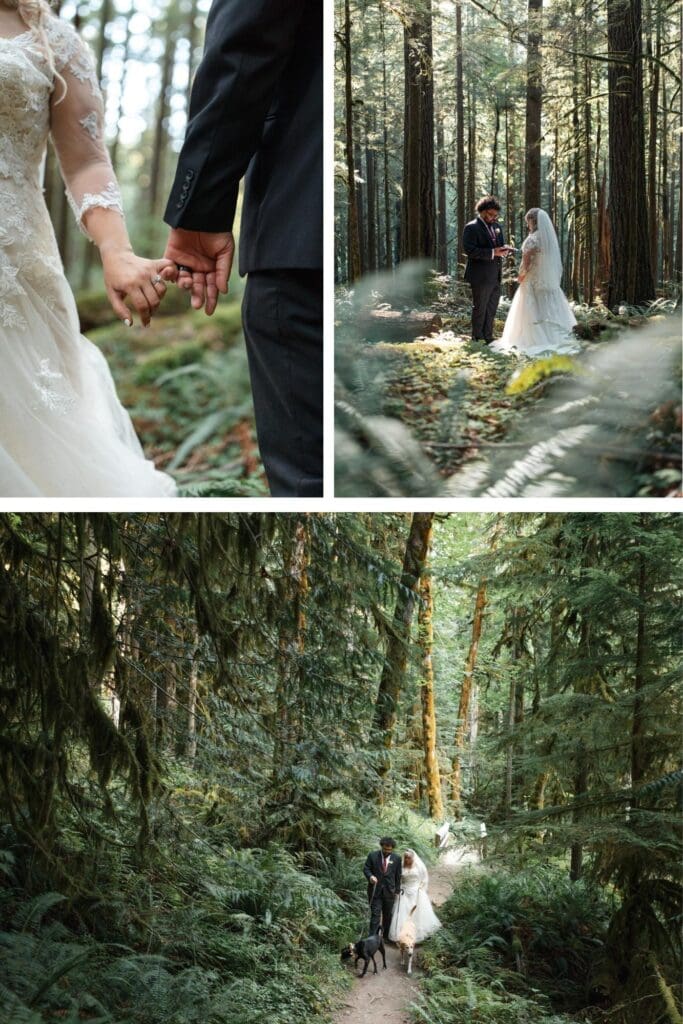 a bride and groom are surrounded by trees and ferns in the Mount Hood National Forest in Oregon state